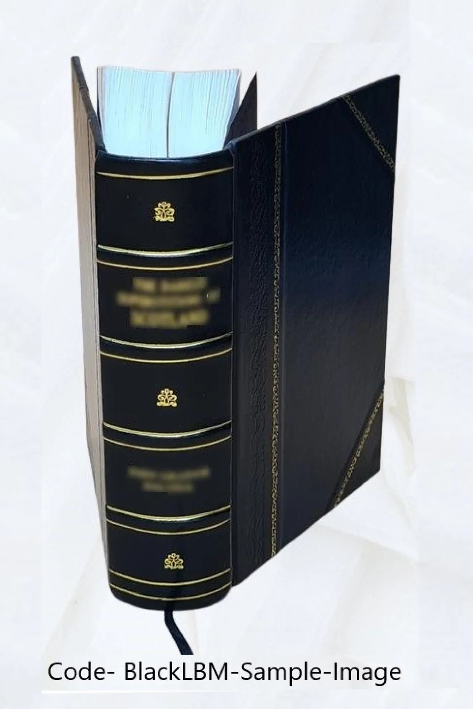 The Poetical Works Of Elizabeth Barrett Browning 1920 [Leather Bound]