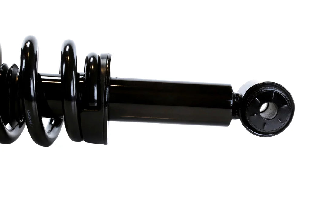 AutoShack Front Complete Struts and Coil Springs Set of 2 Driver and Passenger Side Gentlemen for 2009 2010 2011 2012 2013 Ford F-150 3.5L 3.7L 4.6L 5.0L 5.4L V6 V8 4WD CST100203PR