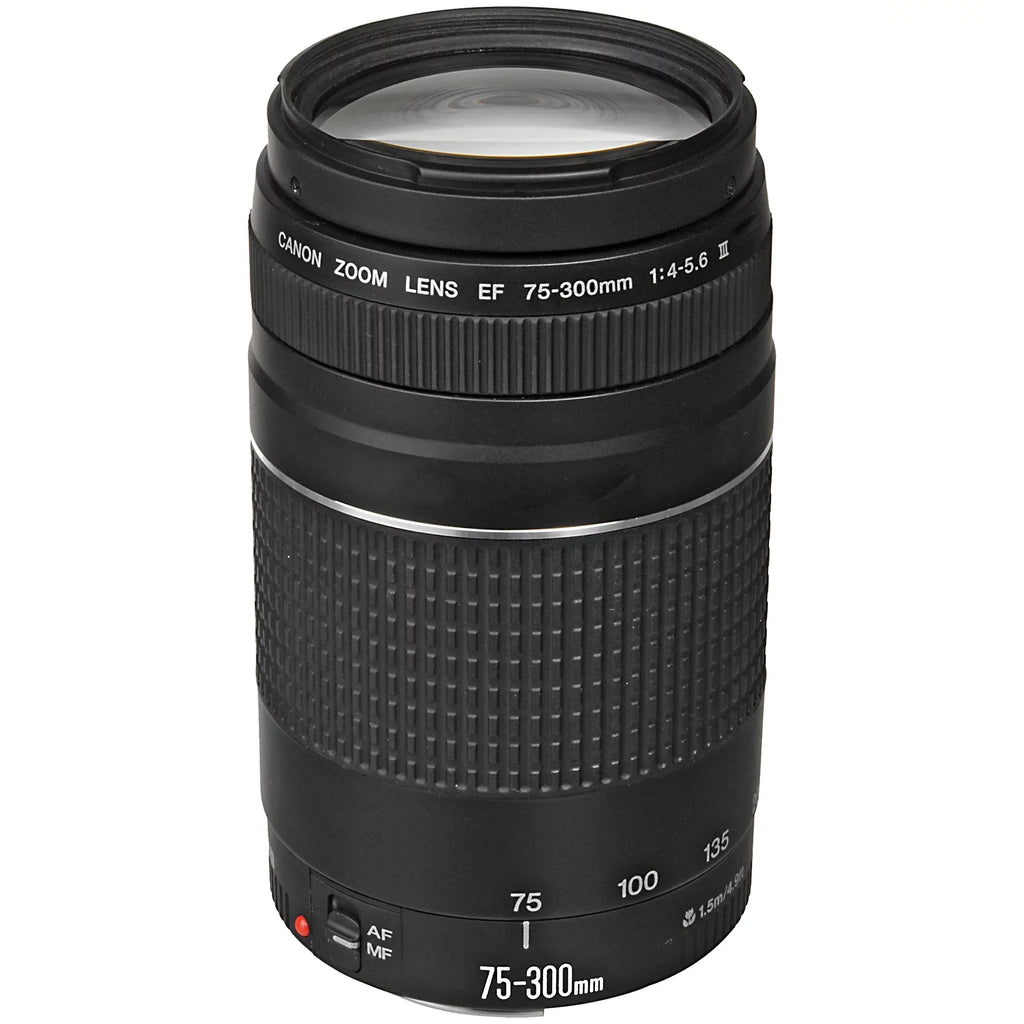 Canon EOS R6 Mirrorless Camera with RF 24-105mm STM + 75-300mm Lens + Mount Adapter + 32GB SanDisk + ZeeTech Accessory