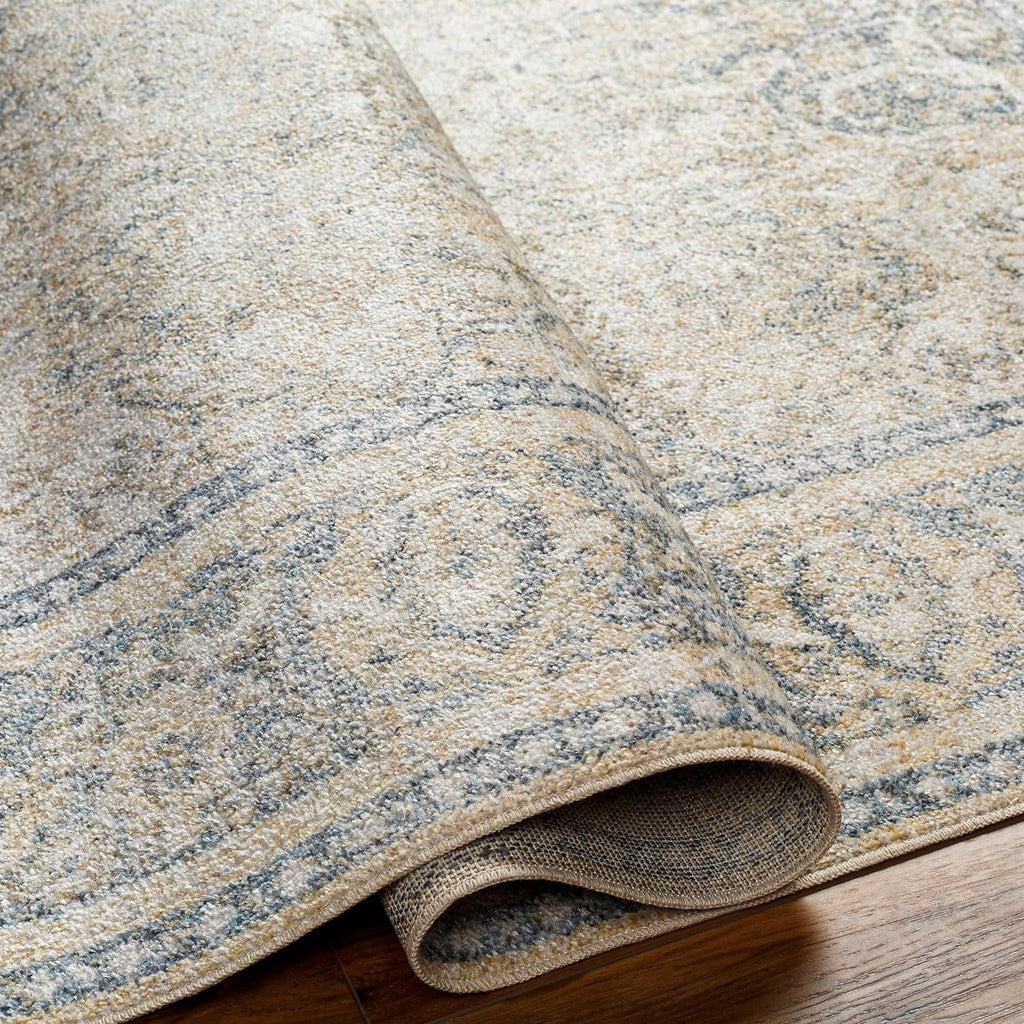 Washable Rugs, 2X3 East Traditional Light Area Rug, Blue Beige Carpet For Living Room, Bedroom Or Kitchen (2' X 3', Machine Washable)