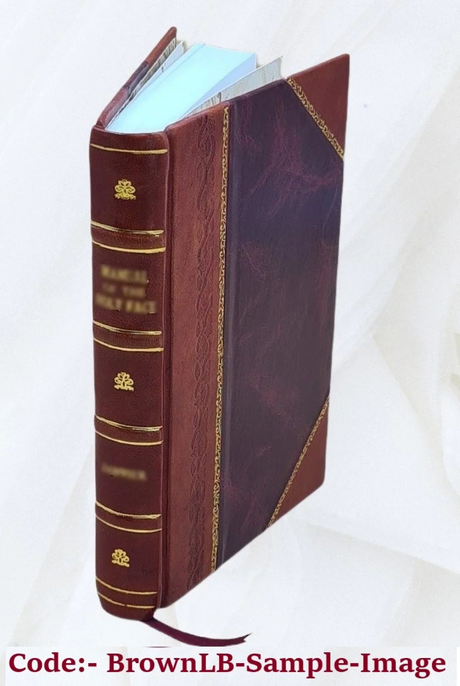 San Remo climatically and medically considered 1883 [Leather Bound]