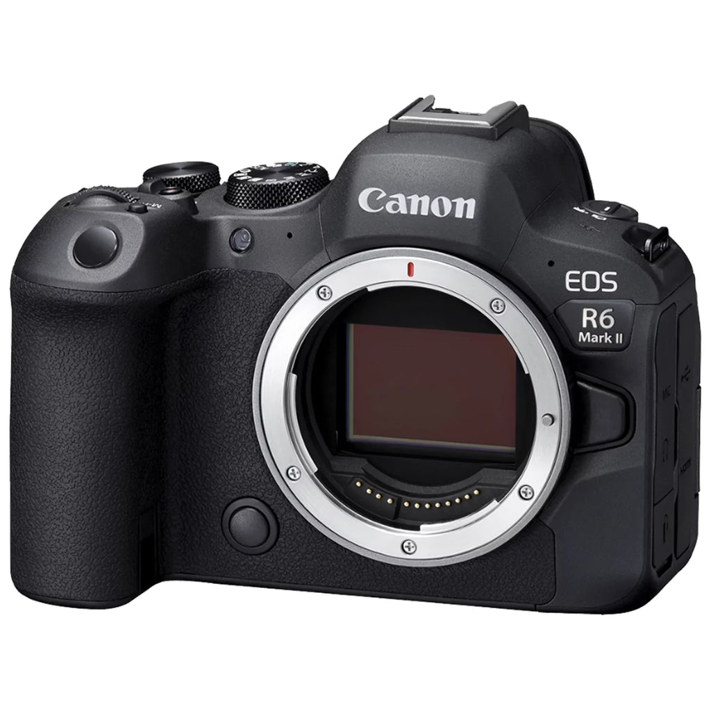 Canon EOS R6 Mark II Mirrorless Camera with RF 24-105mm Lens + EF 75-300mm + Mount Adapter + SanDisk 32GB Memory Card + Case + LED Flash + ZeeTech Accessory Bundle