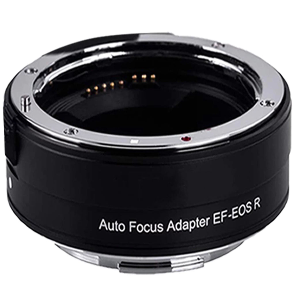 Canon EOS R6 Mirrorless Camera with RF 24-105mm STM + 75-300mm Lens + Mount Adapter + 32GB SanDisk + ZeeTech Accessory