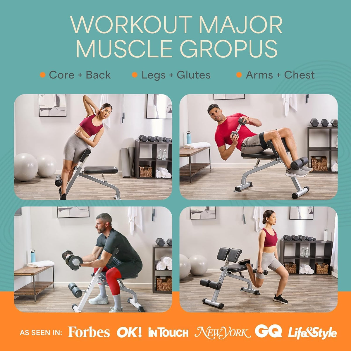 Lifepro SculptTrainer Roman Chair â 20+ Exercises, Foldable, 330 lb Cap