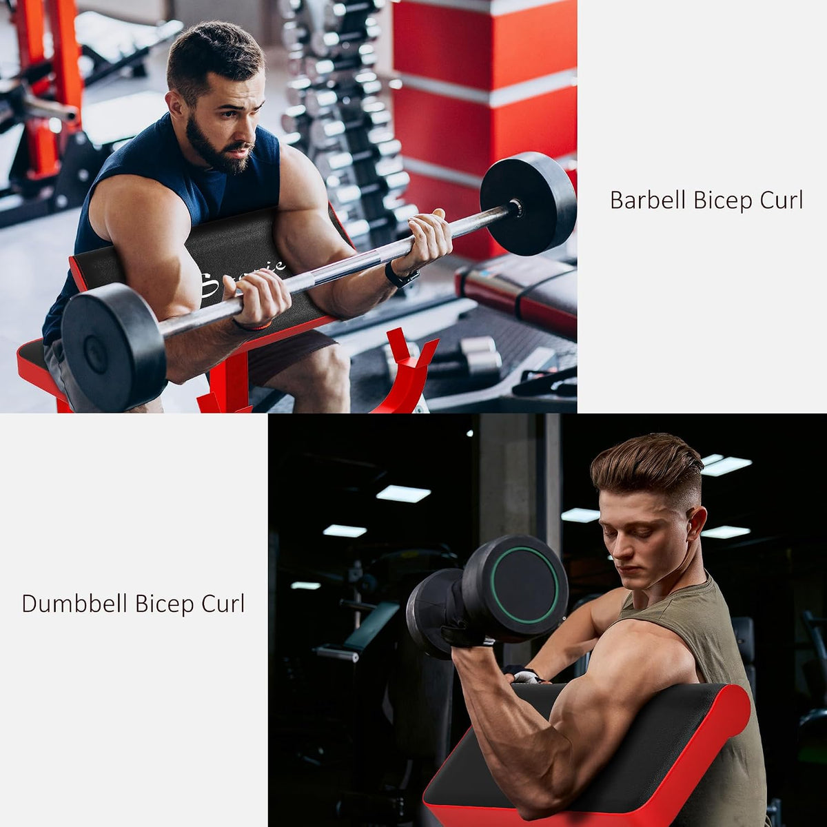 Soozier Adjustable Preacher Curl Bench with Brabell Rack 265 LBS