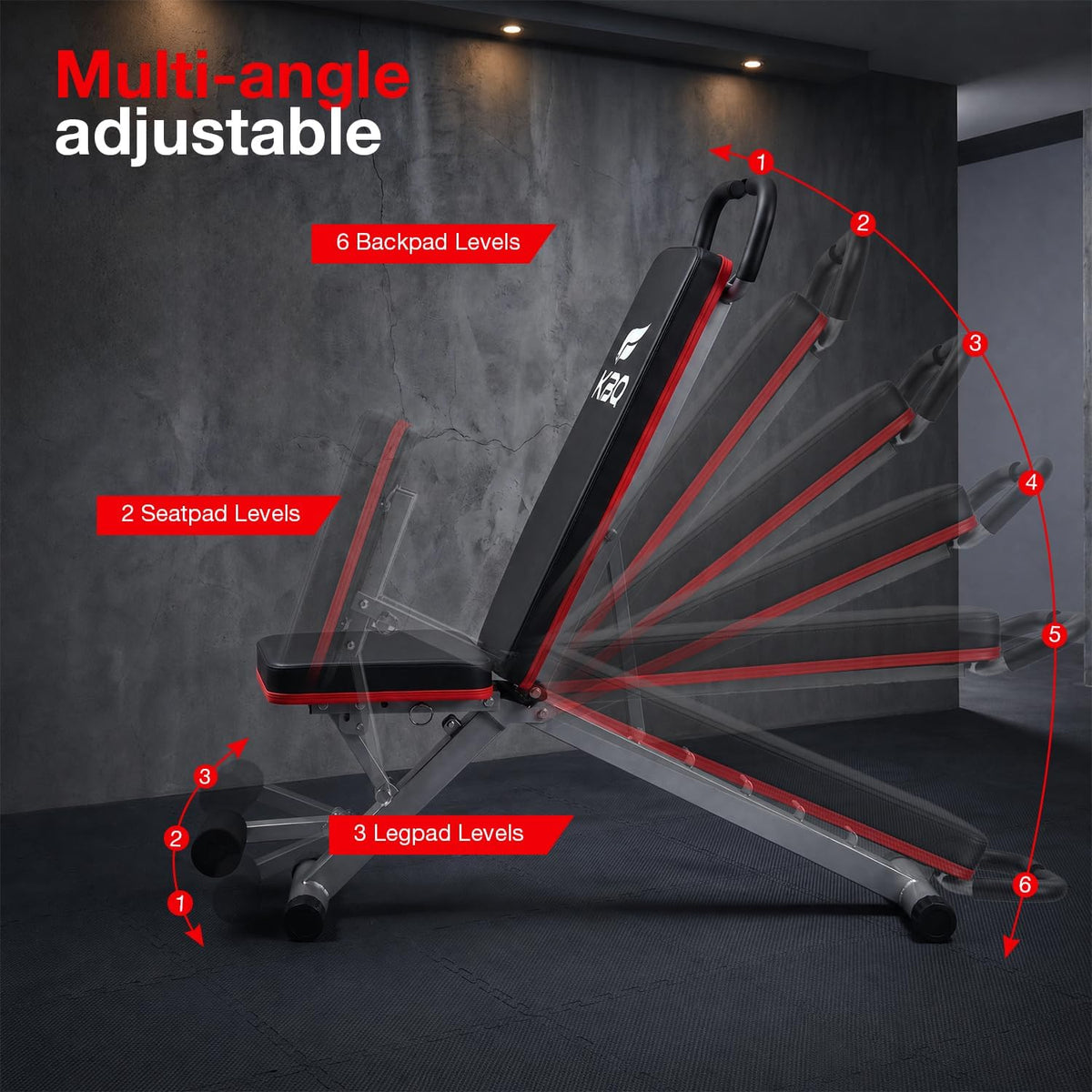 Adjustable Exercise Chair for Home Gym â Foldable Back Extension Bench for Core, Hip & Lower Back Workout â Multi-Functional Hyperextension Bench for Full-Body Exerciseï¼with Illustrated Training Action Guideï¼