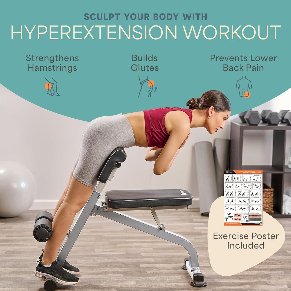 Lifepro SculptTrainer Roman Chair â 20+ Exercises, Foldable, 330 lb Cap