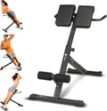 Lifepro SculptTrainer Roman Chair â 20+ Exercises, Foldable, 330 lb Cap