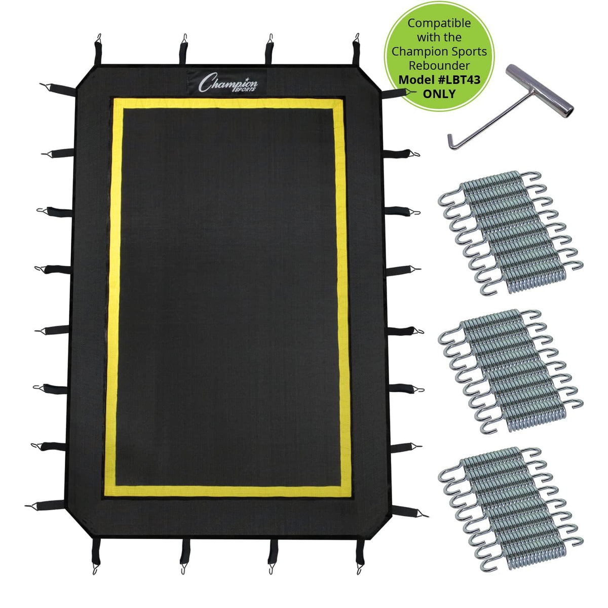 Champion Sports Deluxe Lacrosse Target: Ball Return Bounce Back Net Set for Professional, College and Grade School Training & Drills