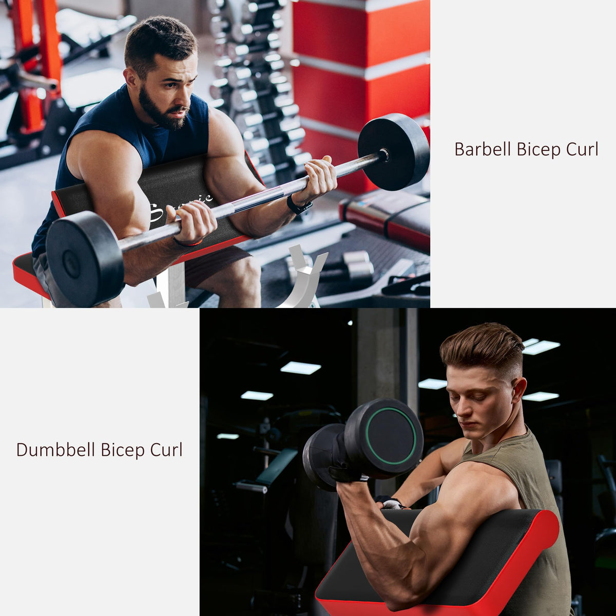 Soozier Adjustable Preacher Curl Bench with Brabell Rack 265 LBS