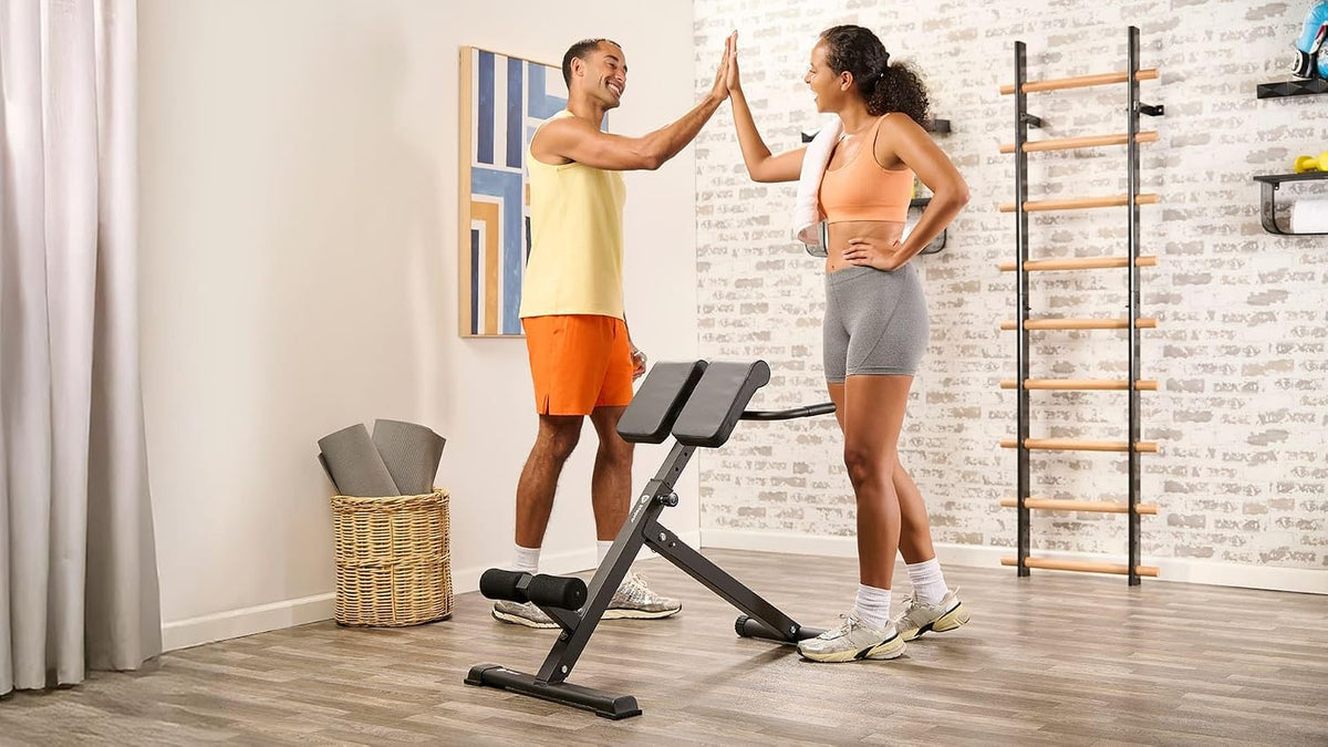 Lifepro SculptTrainer Roman Chair â 20+ Exercises, Foldable, 330 lb Cap