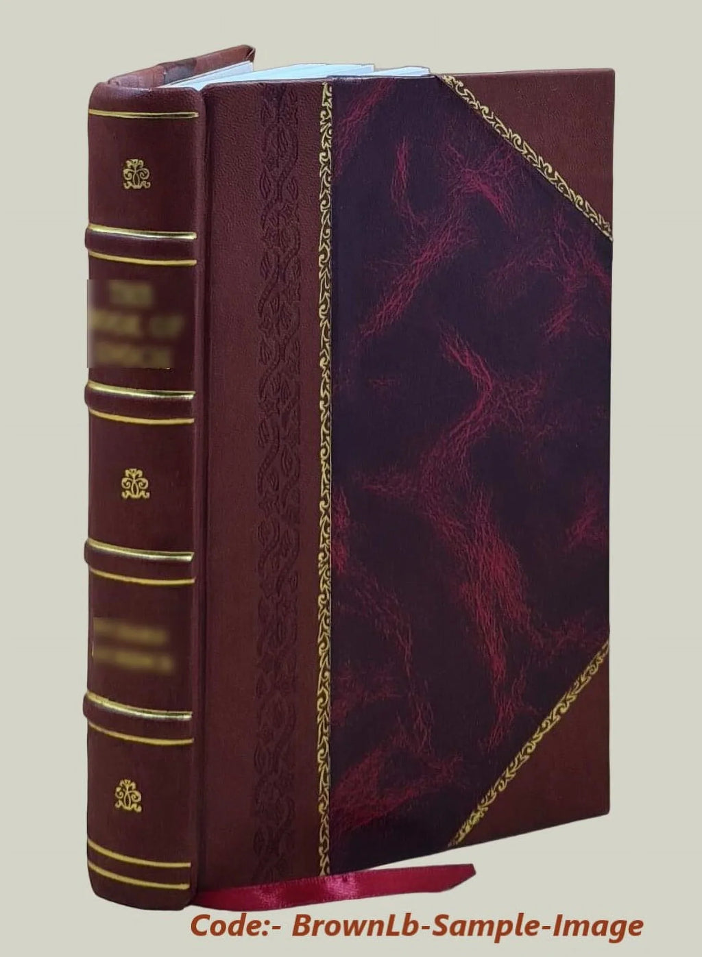 Fellowship hymns 1923 [Leather Bound]
