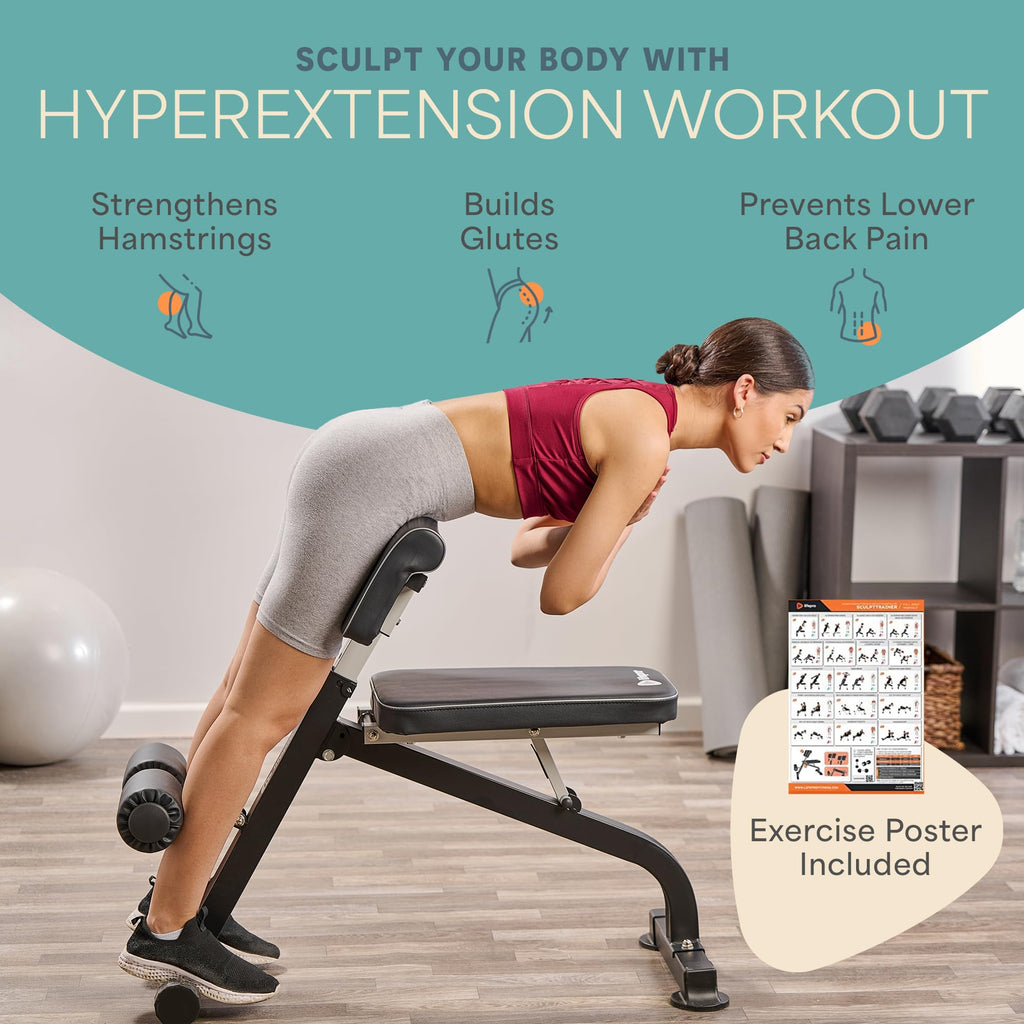Lifepro SculptTrainer Roman Chair â 20+ Exercises, Foldable, 330 lb Cap