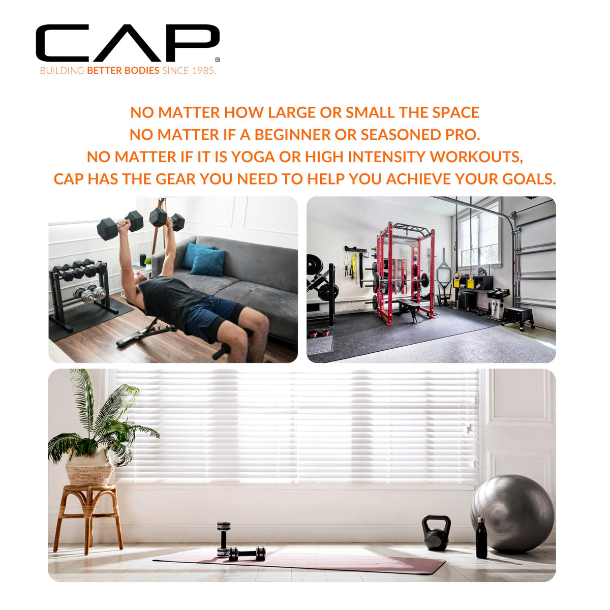 Cap Strength Roman Chair â Adjustable Back Extension Bench for Core & Glute Workouts, Heavy-Duty 300 LB Capacity - Black and Gray Options