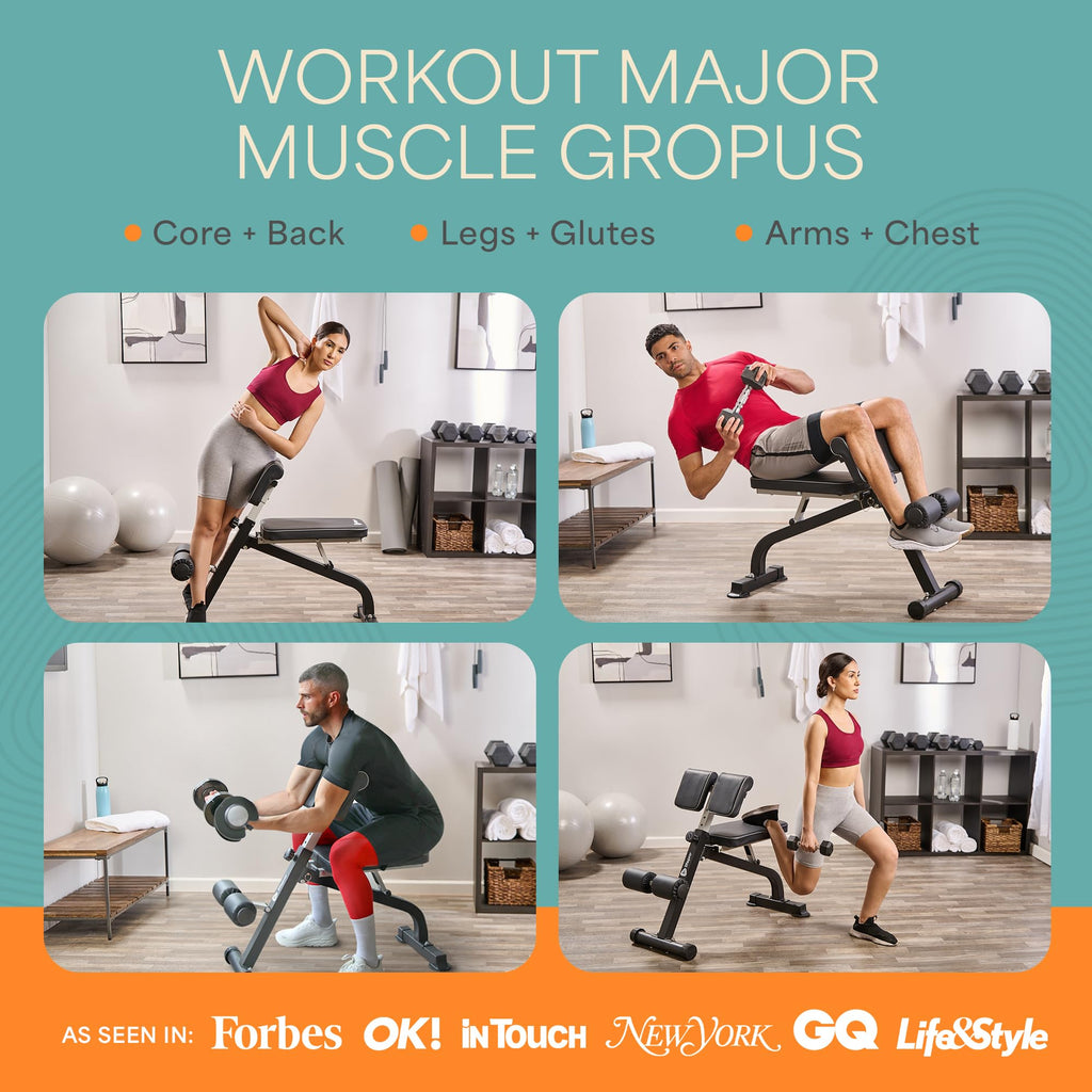 Lifepro SculptTrainer Roman Chair â 20+ Exercises, Foldable, 330 lb Cap