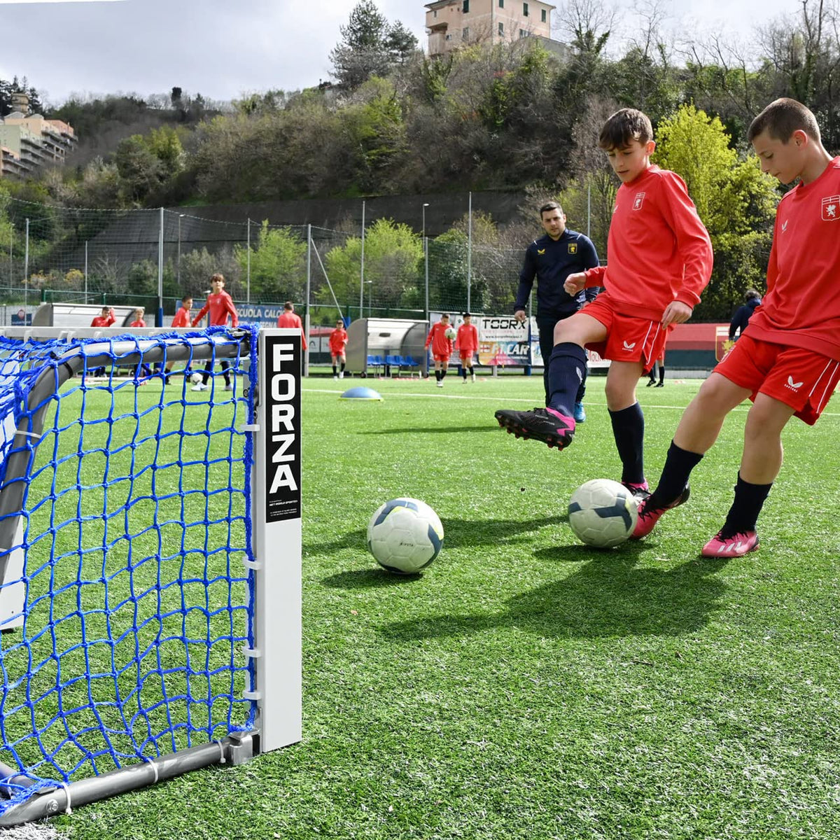 FORZA Mini Target Hockey Goal â Heavy-Duty Aluminum Training Goal â 3ft & 12ft Options â Folding Side Frames & UV-Treated Net â Ideal for Drills & Shooting Practice