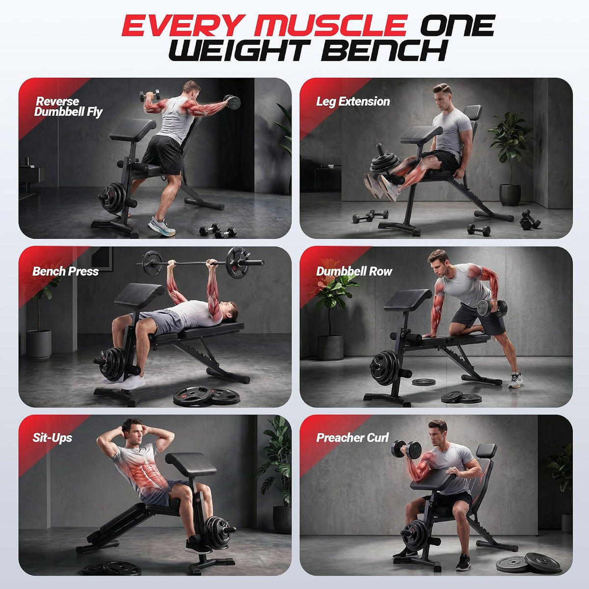 OPPSDECOR Adjustable Weight Bench with Leg Extension and Leg Curl