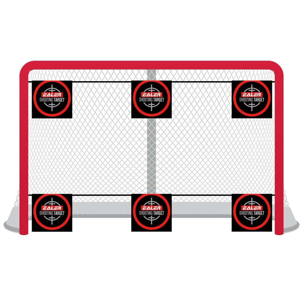 EALER Heavy Duty Hockey Training System â Goals, Backstops & Shooting Practice Nets for Ice & Street Hockey