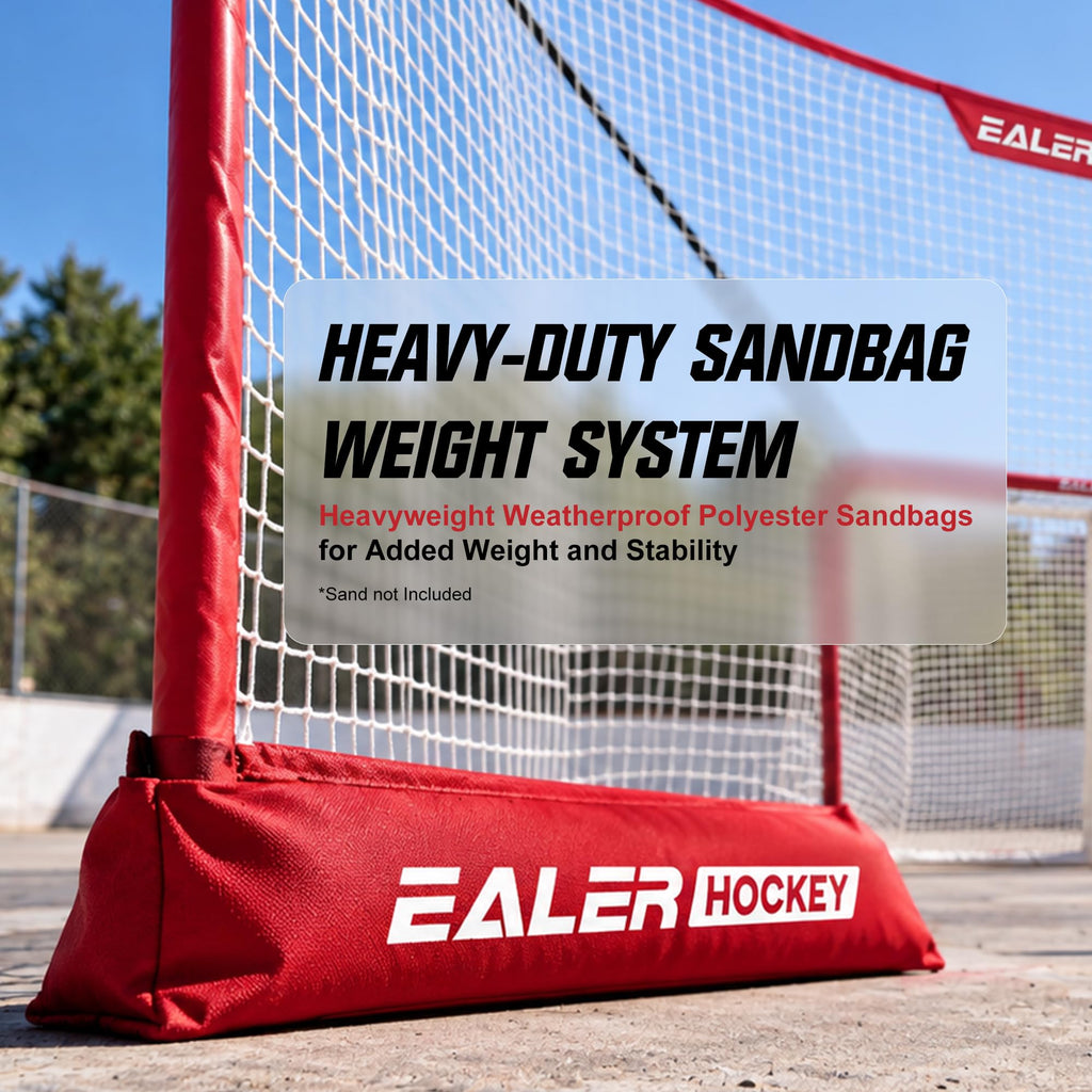 EALER Heavy Duty Hockey Training System â Goals, Backstops & Shooting Practice Nets for Ice & Street Hockey