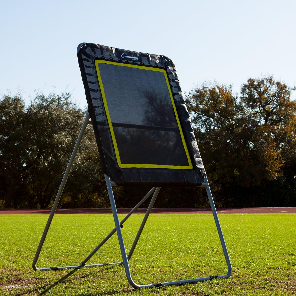 Champion Sports Deluxe Lacrosse Target: Ball Return Bounce Back Net Set for Professional, College and Grade School Training & Drills