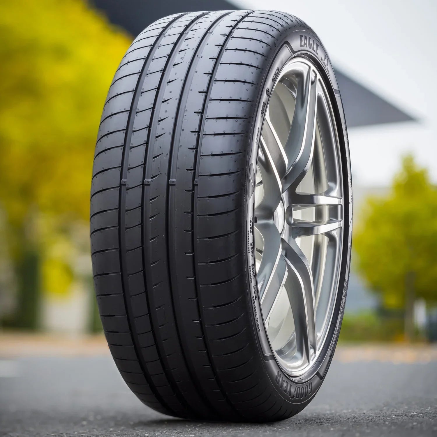 Goodyear Eagle F1 Asymmetric 3 225/40R20 94Y All-Season Tire Fits: 2018 BMW X1 sDrive28i, 2016-17 BMW X1 xDrive28i