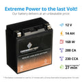 Chrome Battery YTX16-BS (16-BS 12 Volt,14 Ah, 230 CCA) Motorcycle Battery for Kawasaki 1600cc D Nomad 2009