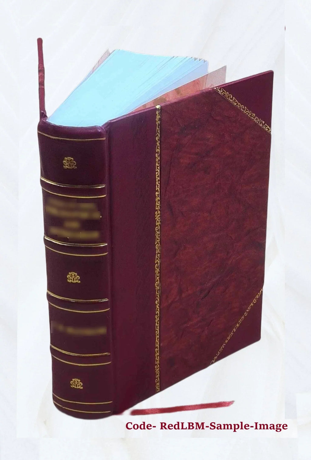 A system of the law of marine insurances; with three chapters on bottomry; on insurances on lives; on insurances against fire. By Sir James Allan Park, knt Volume v. 1 1842 [Leather Bound]