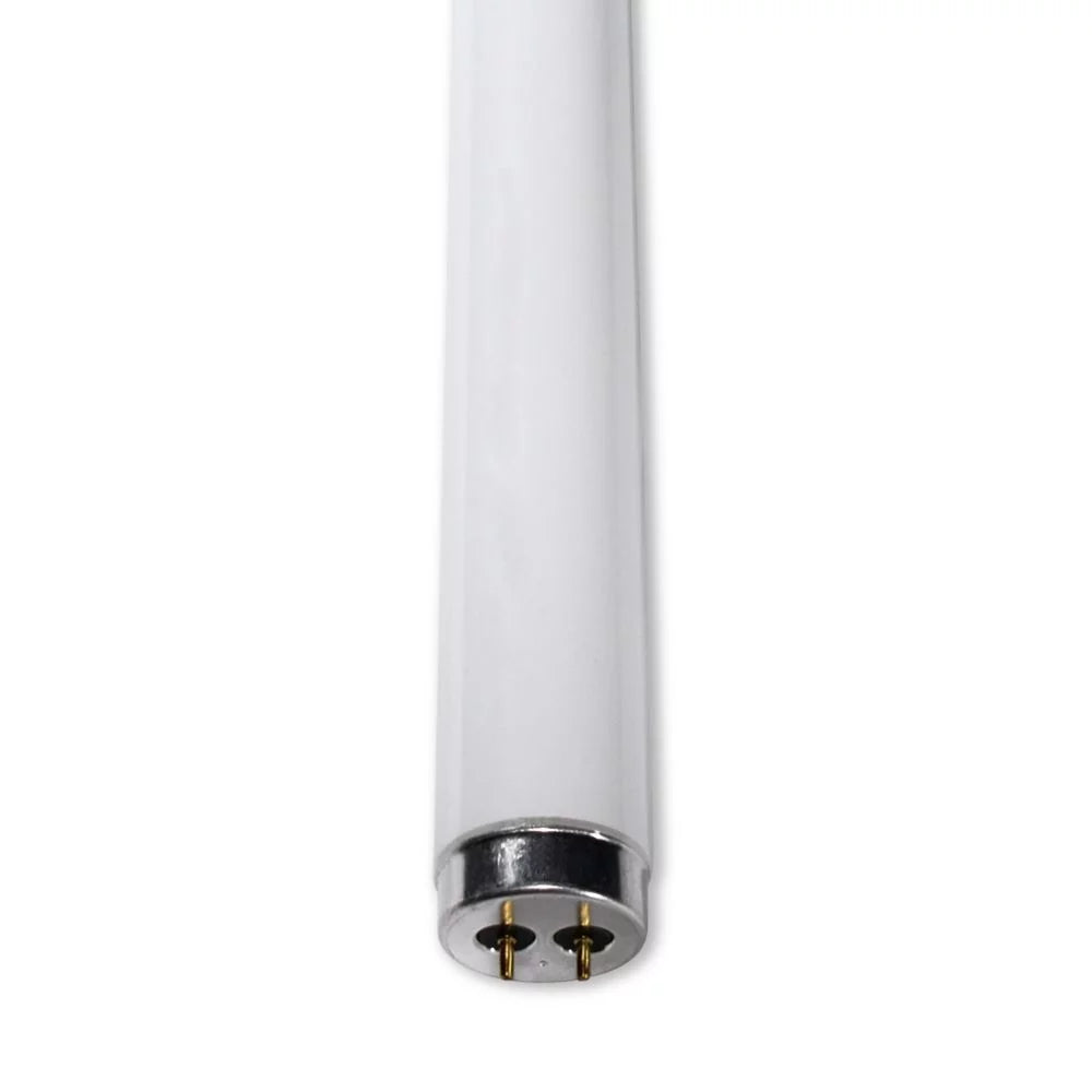 Gentlemen for Philips F34CW/RS/EW/ALTO Gentlemen Light Bulb Lamp 30 Pieces
