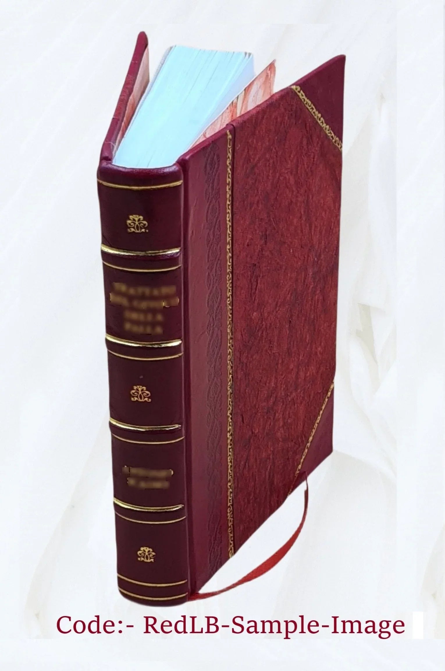 San Remo climatically and medically considered 1883 [Leather Bound]
