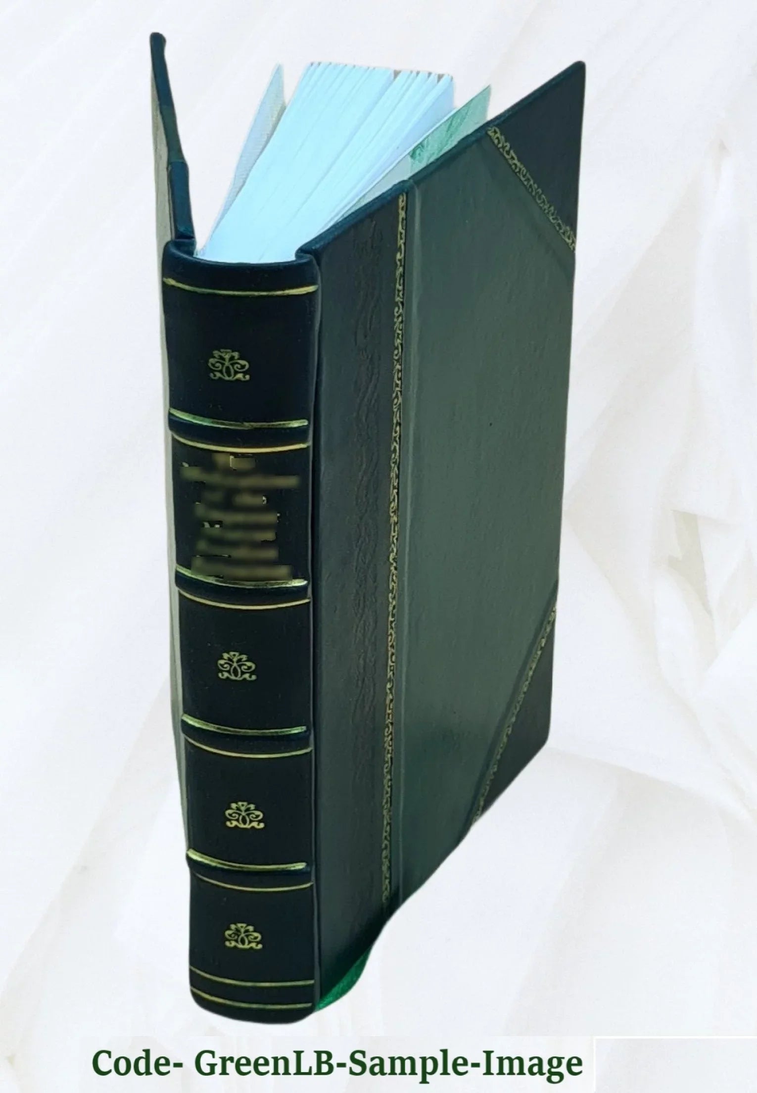 Catalogo della R. Pinacoteca di Brera, di Francesco Malaguzzi Valeri, con cenno storico di Corrado Ricci. 1908 [Leather Bound]