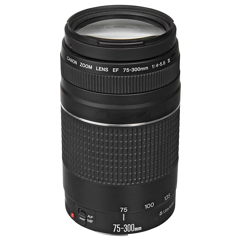 Canon EOS R6 Mark II Mirrorless Camera with RF 24-105mm Lens + EF 75-300mm + SanDisk 128GB Memory Card + Case + LED Flash+ ZeeTech Accessory Bundle