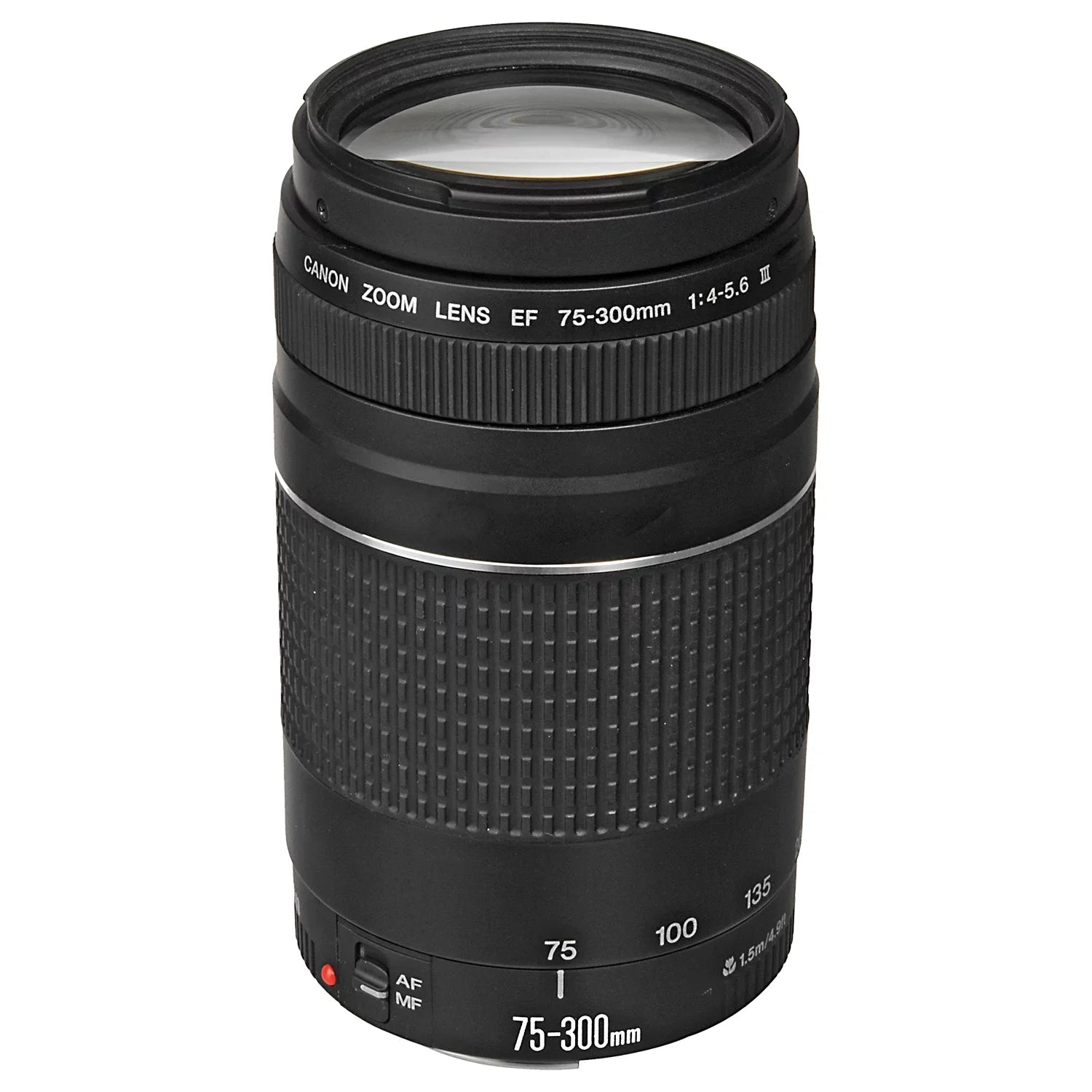 Canon EOS R6 Mark II Mirrorless Camera with RF 24-105mm Lens + EF 75-300mm + SanDisk 128GB Memory Card + Case + LED Flash+ ZeeTech Accessory Bundle